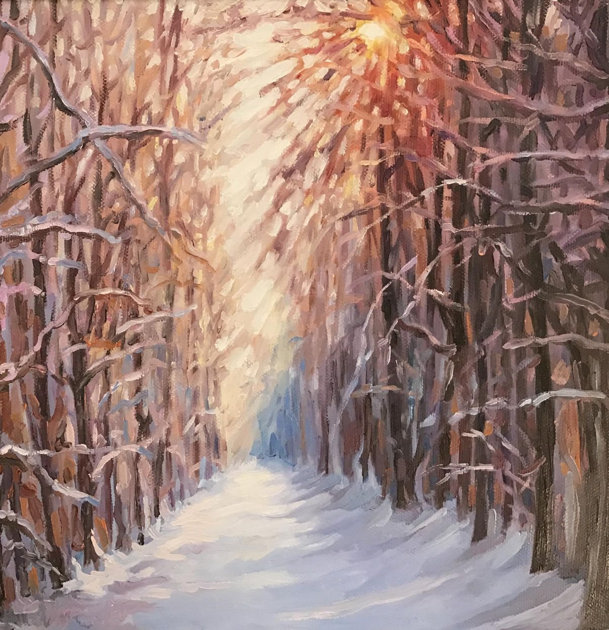 Зимни отблясъци