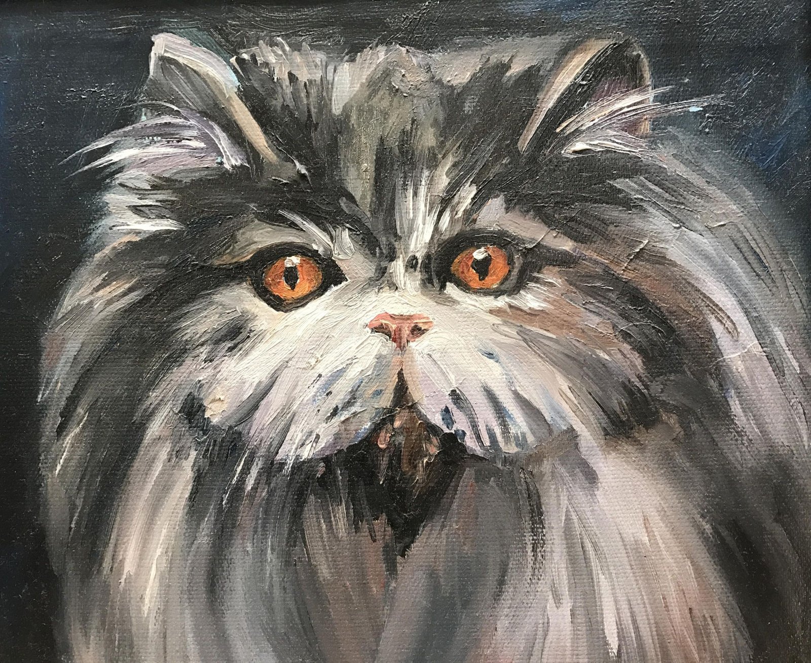 Пухкаво коте