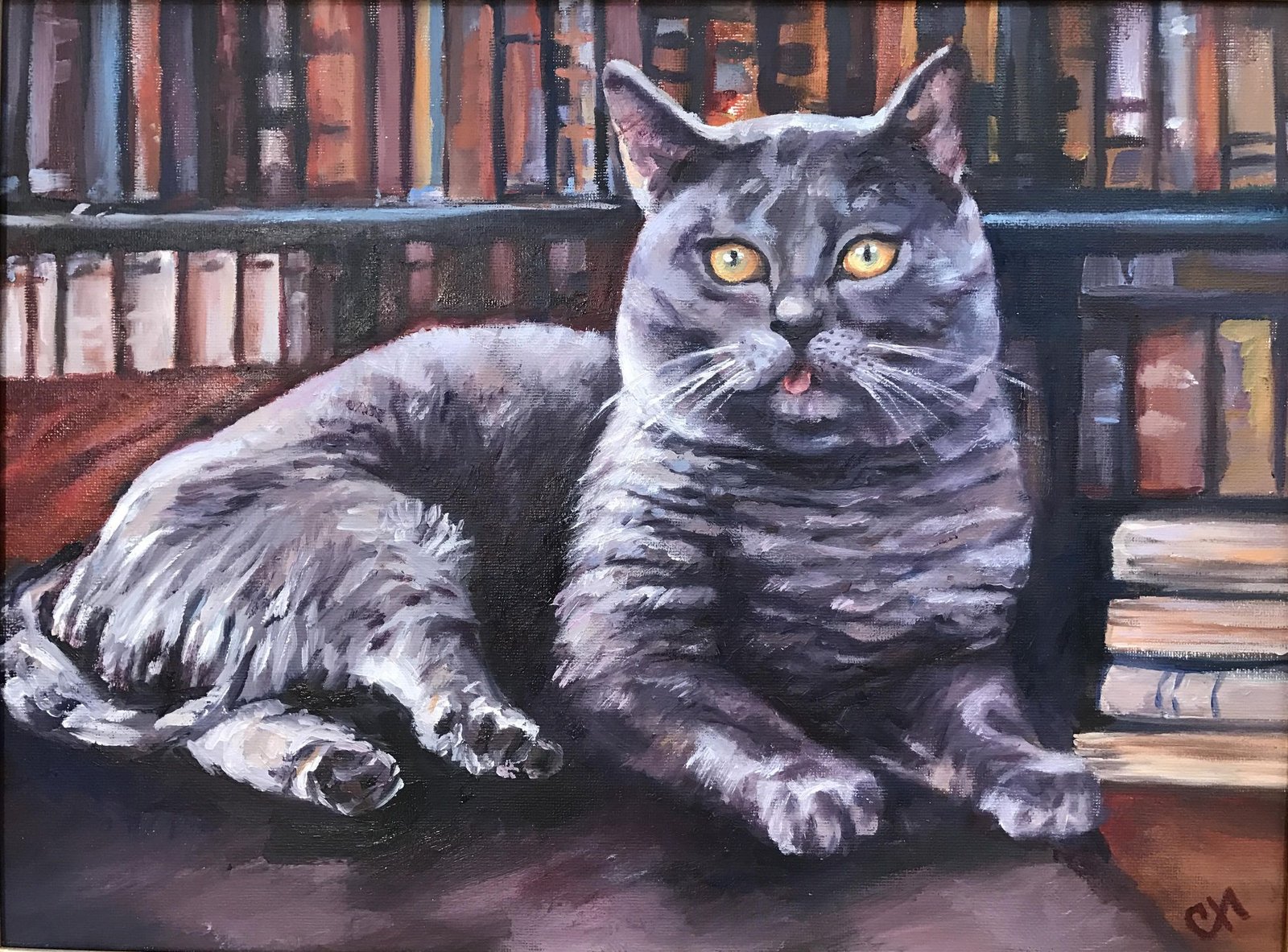 Сиво коте