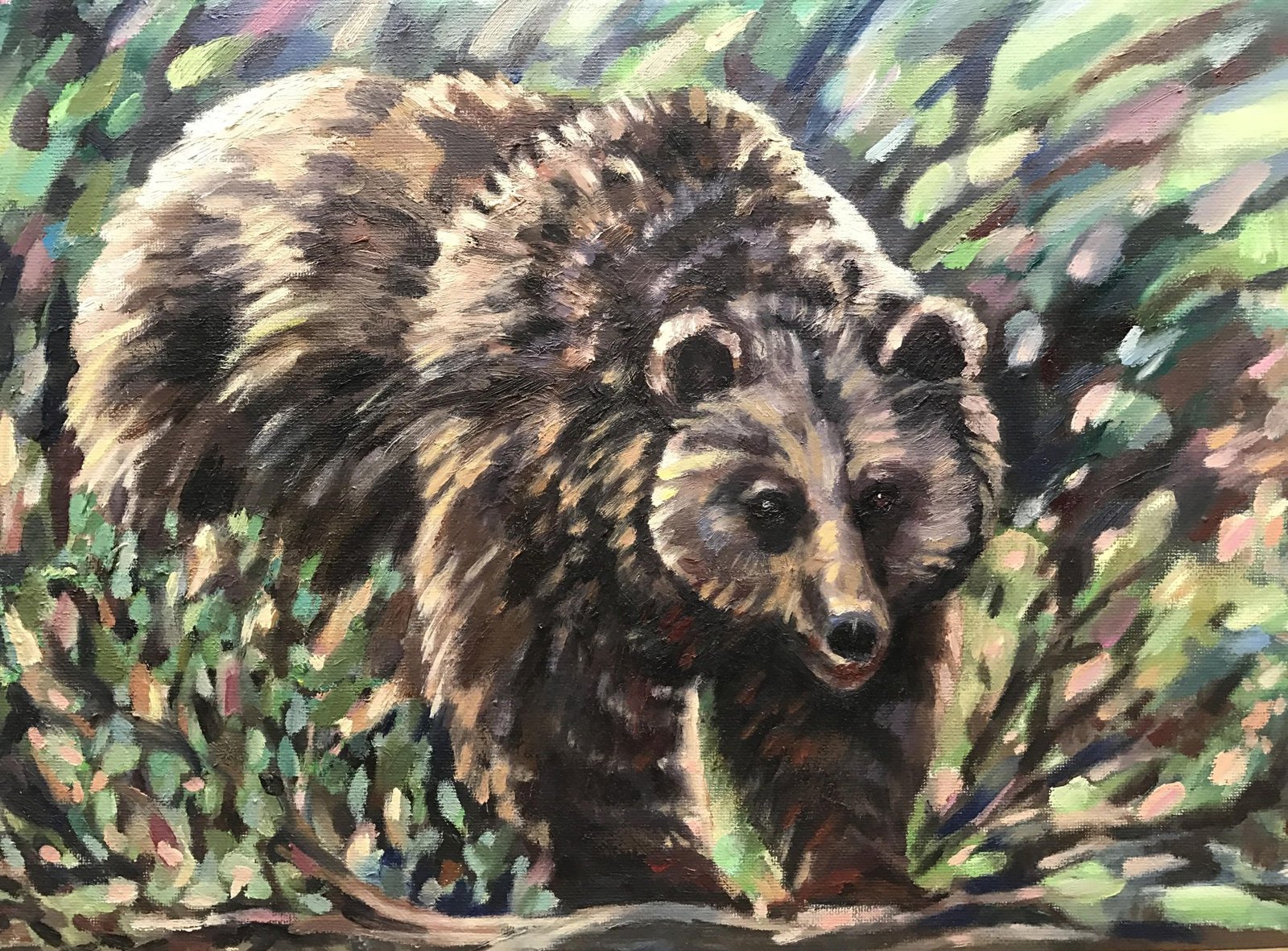 Кафява мечка